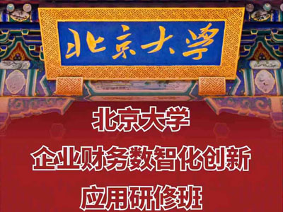 北京大学企业财务数智化创新应用研修班